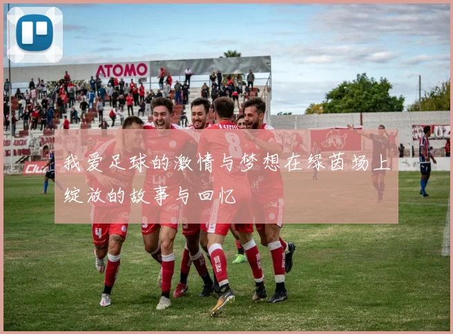 我爱足球的激情与梦想在绿茵场上绽放的故事与回忆