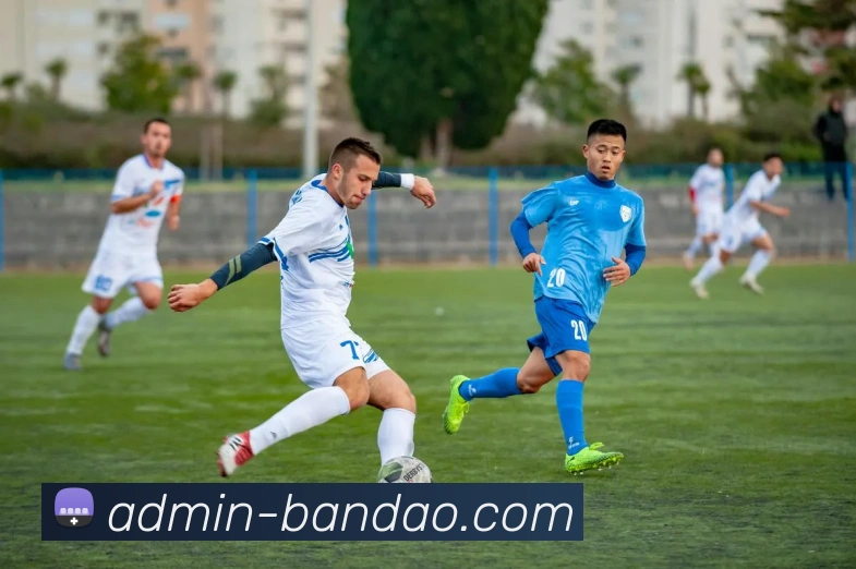 半岛体育官方网站品牌故事