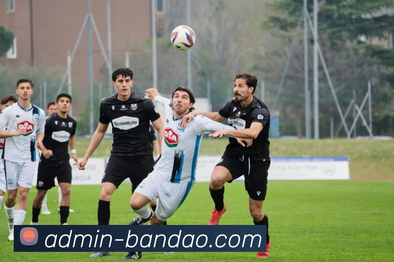 半岛体育官方网站服务体系